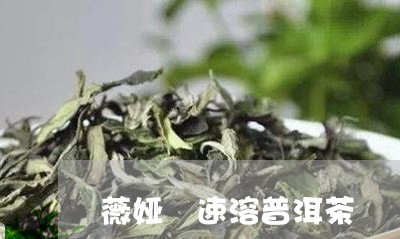 薇娅 速溶普洱茶/2023040908581